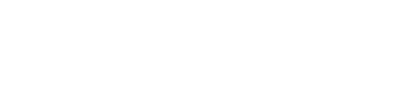 20wicket logo